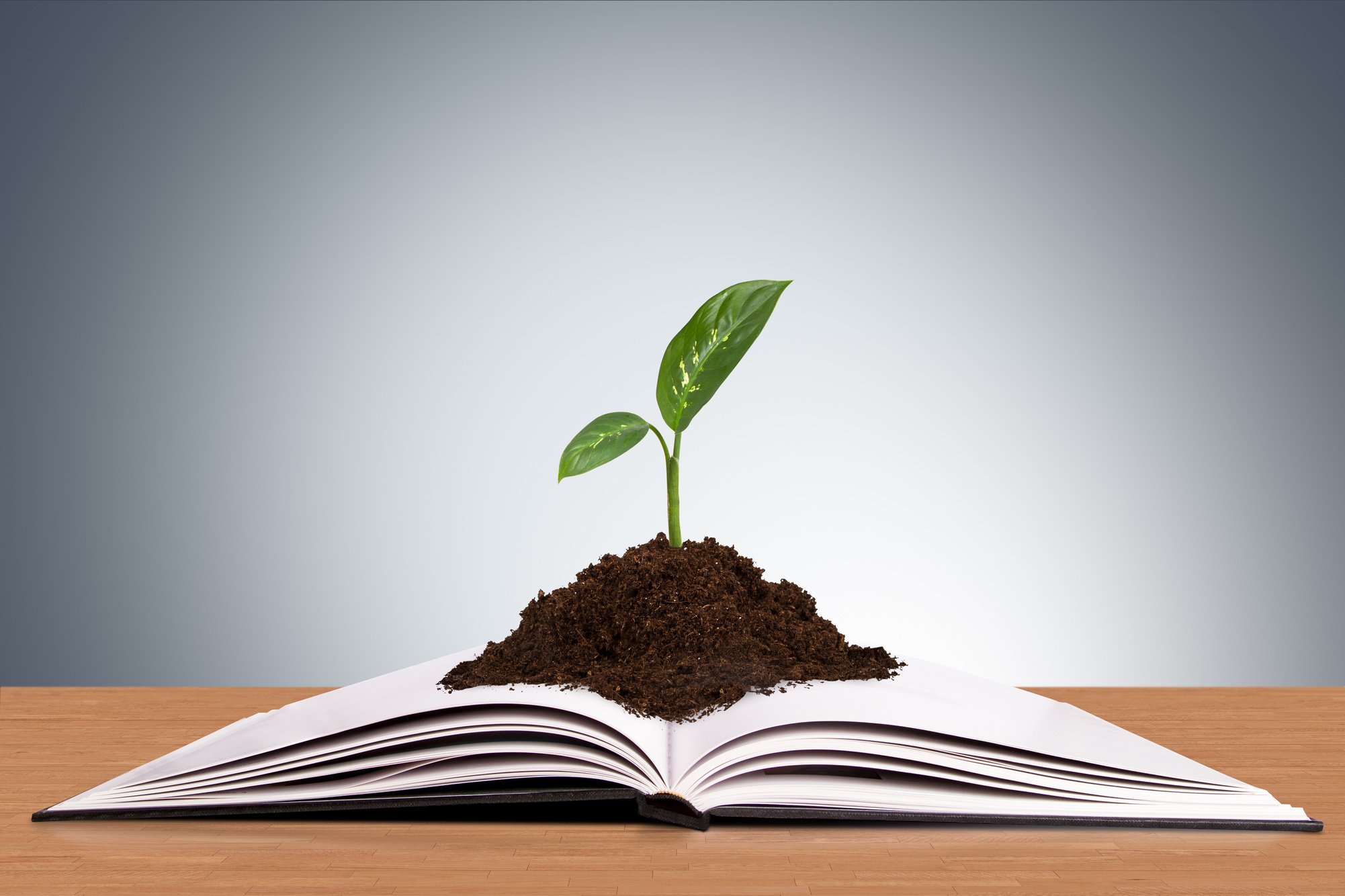 Plant Growing in Book